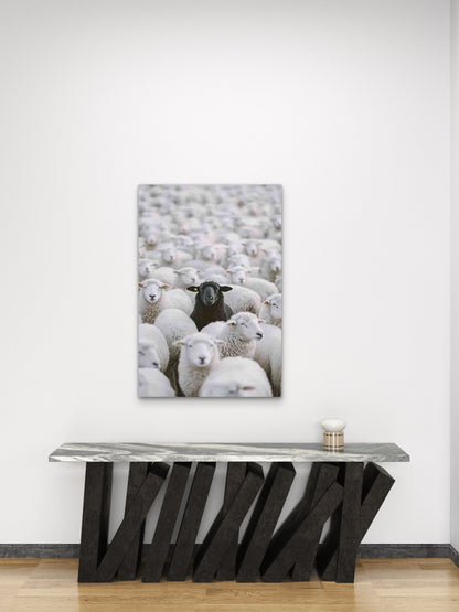 Black Sheep Among the Flock 60x90cm Metal Print Ready to Hang - Bella Home Decor
