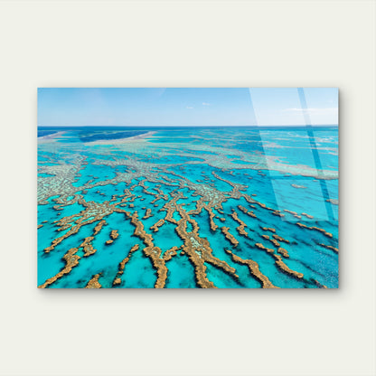 Great Barrier Reef Queensland Coral Ocean Acrylic Glass Printing Wall Art Australian Made Quality