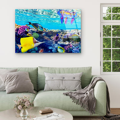 Great Barrier Reef Tropical Fish Coral Reef Acrylic Glass Printing Wall Art Australian Made Quality