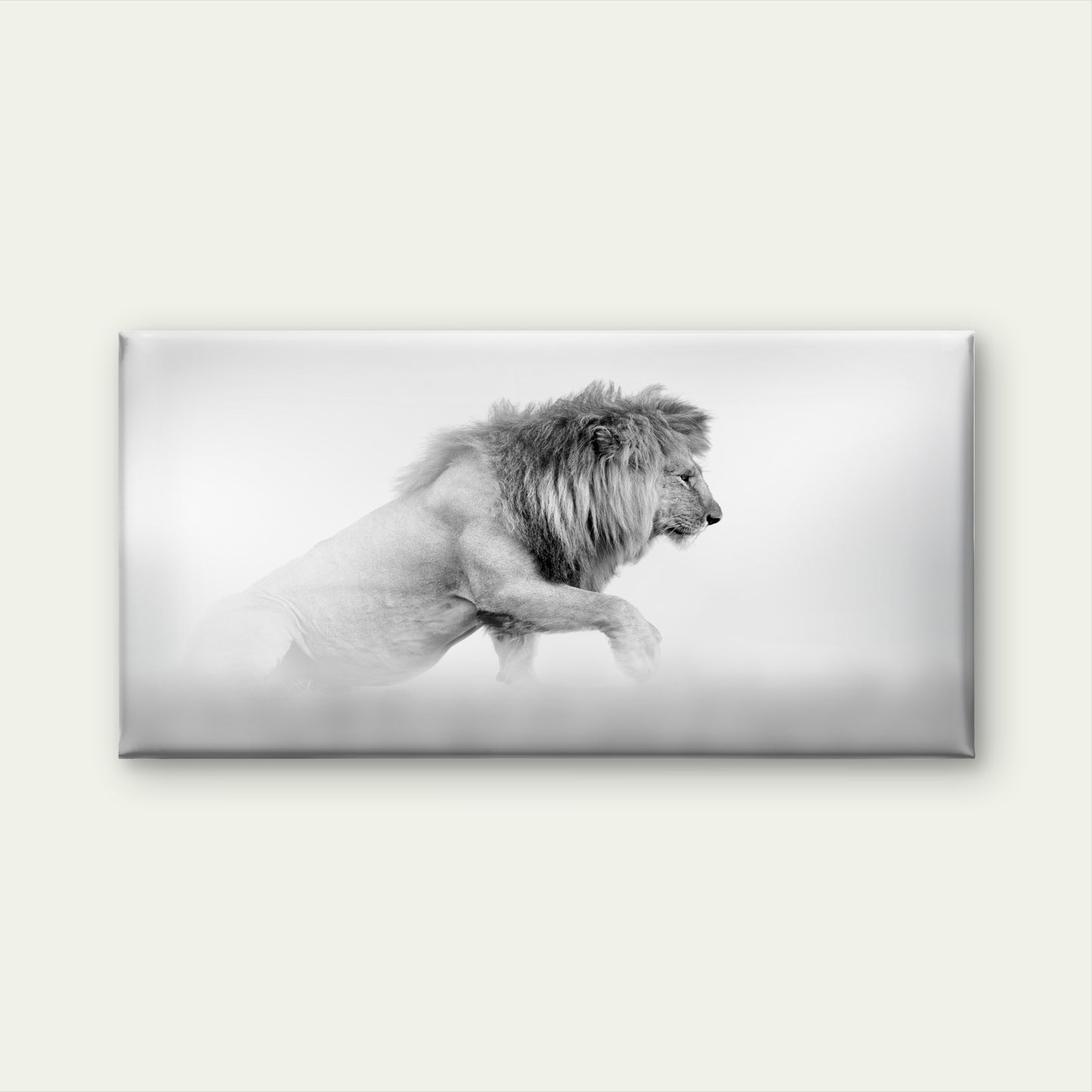 Monochrome Lion Emerging from Fog Wall Art Canvas Office Home Framed 120x60cm