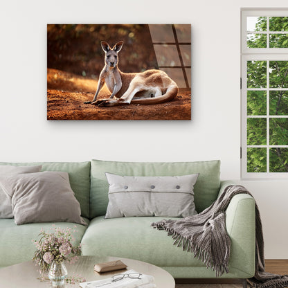 Outback Kangaroo Wildlife Photography Acrylic Glass Printing Wall Art Australian Made Quality