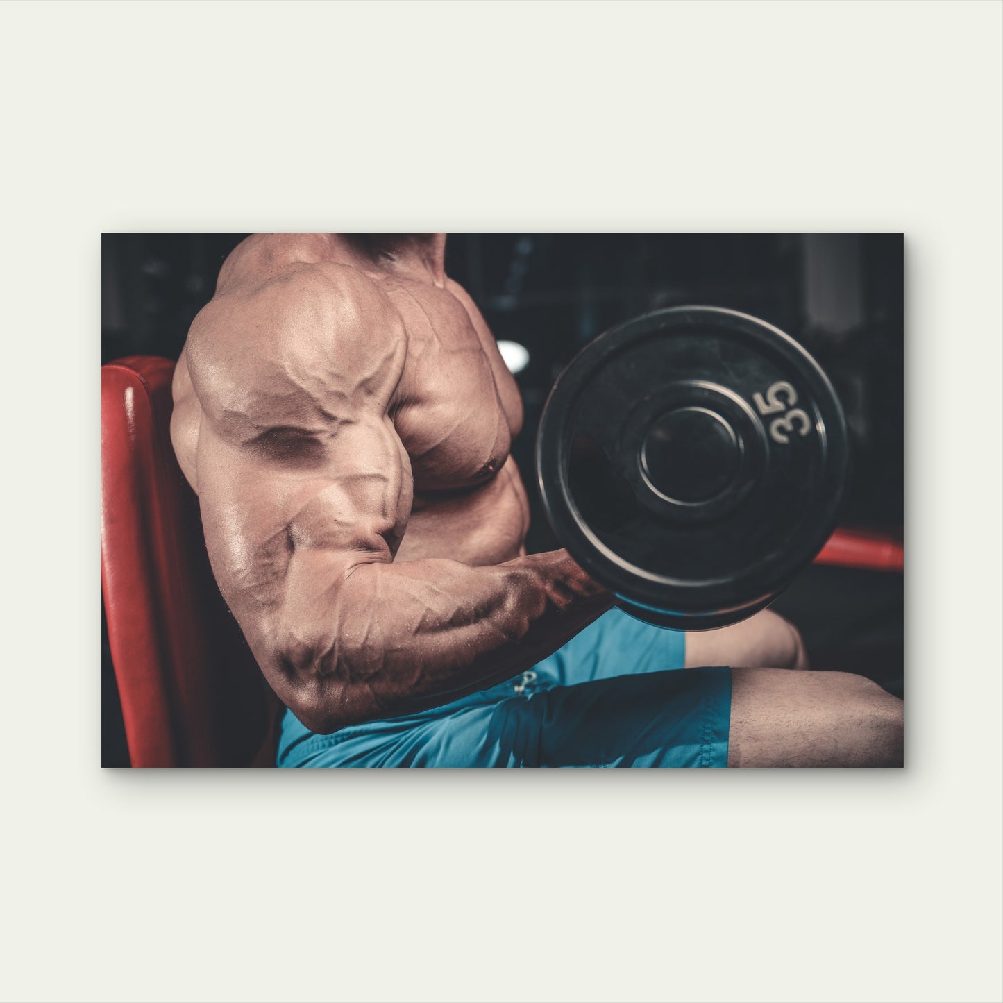 Gym Bodybuilding Bicep Curl Weightlifting Art 5mm thick Plastic Poster Ready to Hang 90x60cm