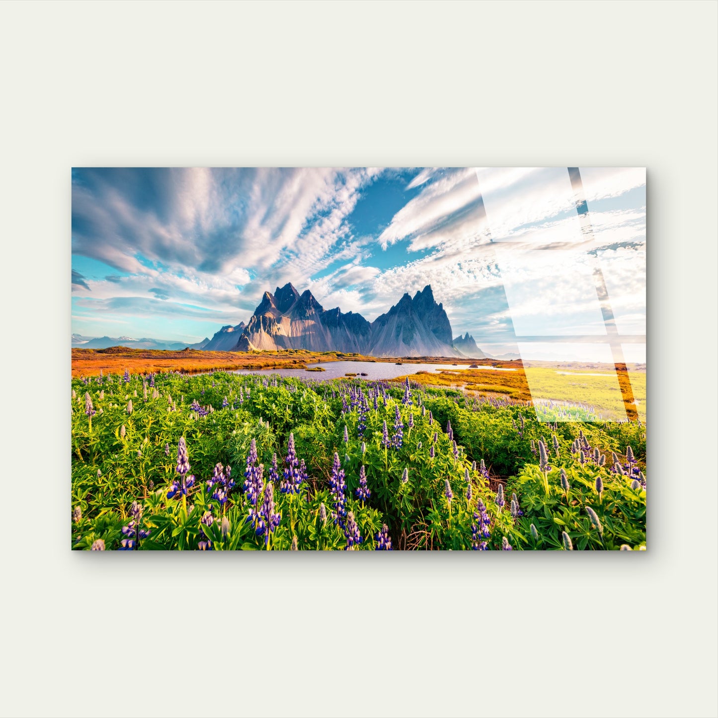 Iceland Vestrahorn Mountain Lupine Field Acrylic Glass Printing Wall Art Australian Made Quality