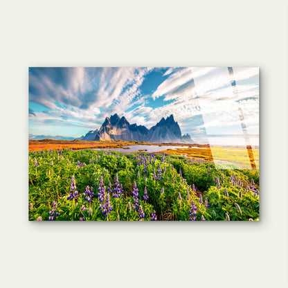 Iceland Vestrahorn Mountain Lupine Field Acrylic Glass Printing Wall Art Australian Made Quality