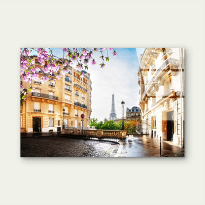 Beautiful Paris Eiffel Tower Spring Street View Acrylic Glass Printing Wall Art Australian Made Quality