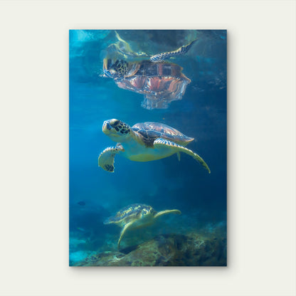 Majestic Deep Ocean Swimming Sea Turtles Art    40x60cm Metal Print Ready to Hang