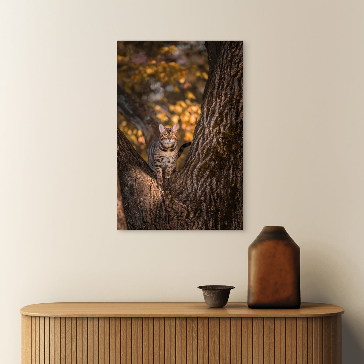 Stunning Wild Bengal Cat Climbing Autumn Tree  40x60cm Metal Print Ready to Hang