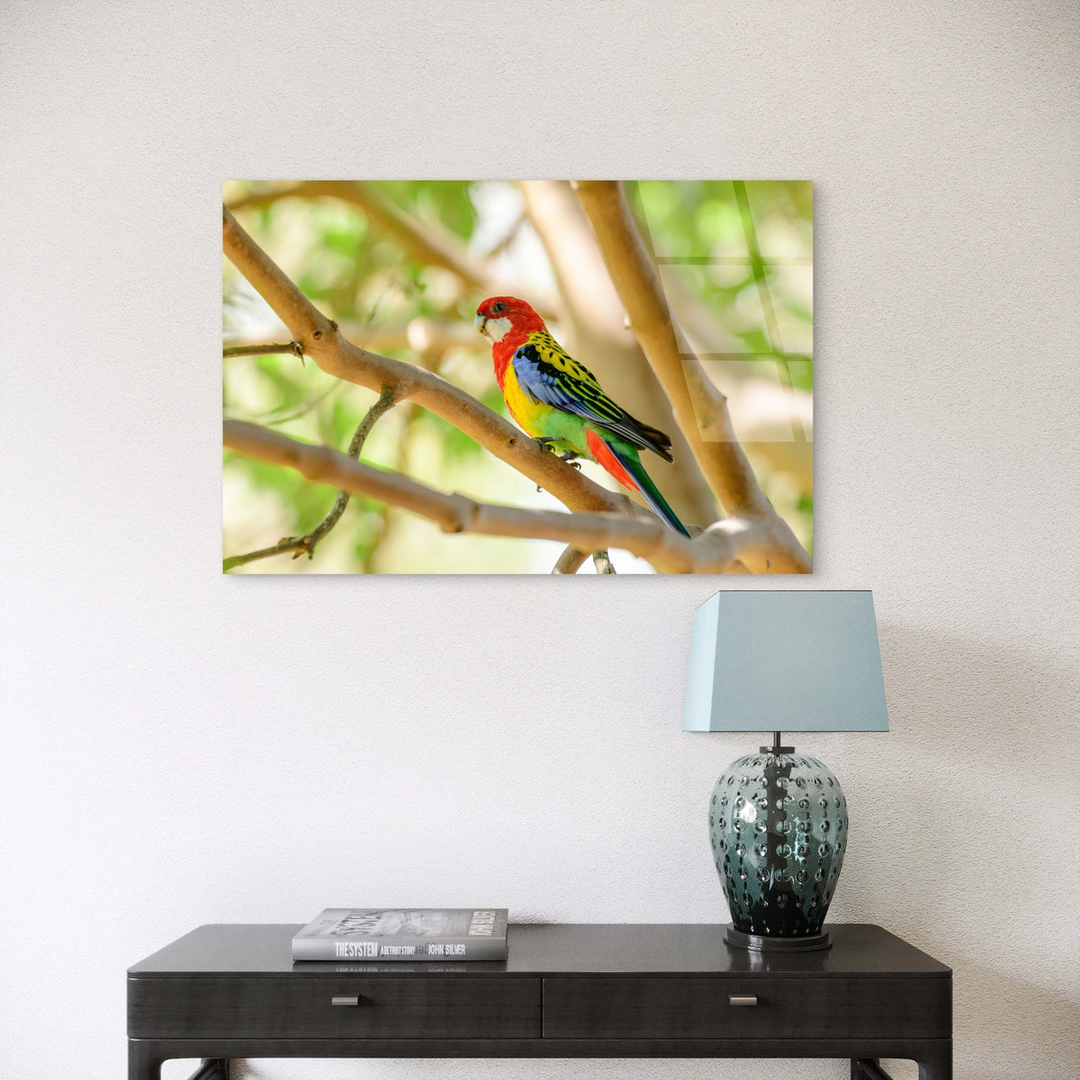 Australian Eastern Rosella Parrot Bird Acrylic Glass Printing Wall Art Australian Made Quality