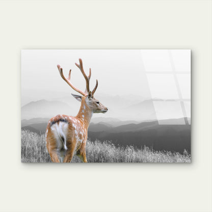 Beautiful Antler Stag Misty Hills Wildlife Acrylic Glass Printing Wall Art Australian Made Quality