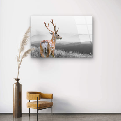 Beautiful Antler Stag Misty Hills Wildlife Acrylic Glass Printing Wall Art Australian Made Quality