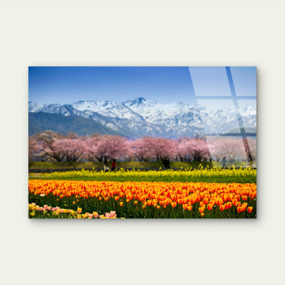 Toyama Japan Spring Quartet Alps Acrylic Glass Printing Wall Art Australian Made Quality