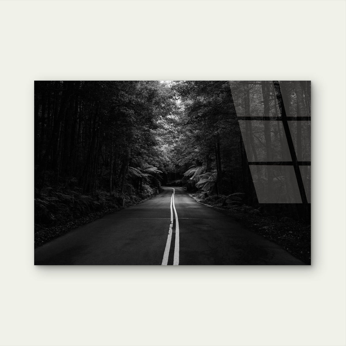 Monochrome Dark Forest Highway Scenery Acrylic Glass Printing Wall Art Australian Made Quality