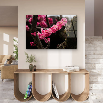 Pink Cherry Blossom Floral Tree Branch Acrylic Glass Printing Wall Art Australian Made Quality