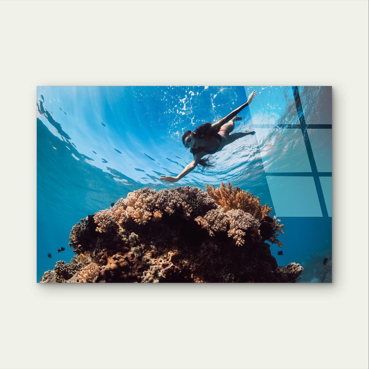 Beautiful Blue Ocean Coral Reef Diver Acrylic Glass Printing Wall Art Australian Made Quality