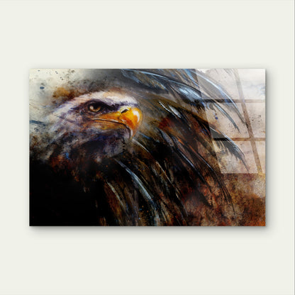 Powerful Bald Eagle Abstract Animal Acrylic Glass Printing Wall Art Australian Made Quality