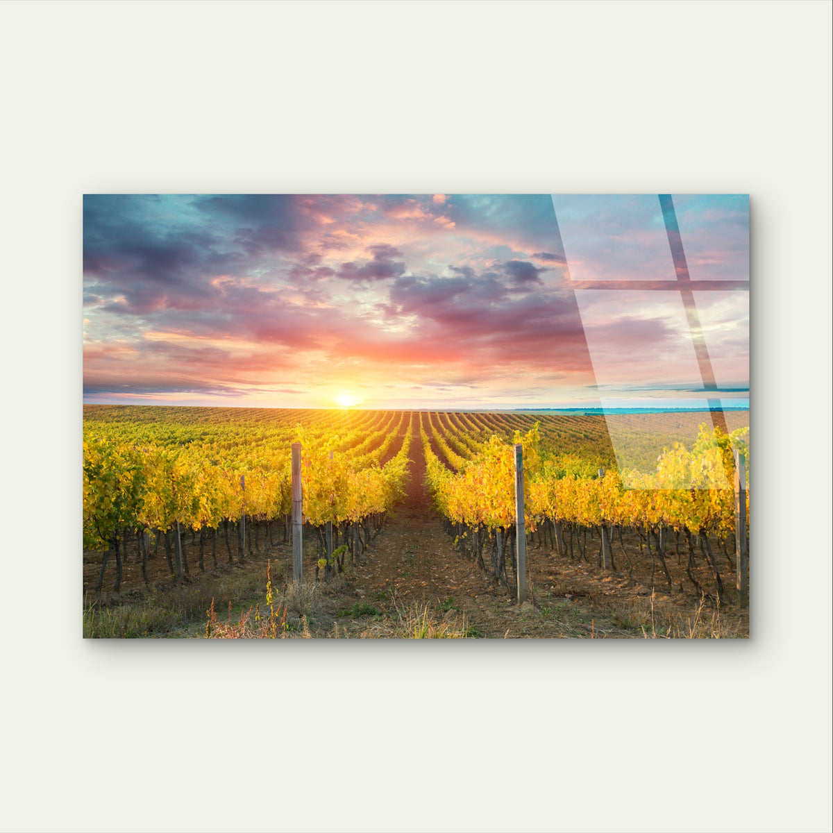 Barossa Valley Vineyard Sunset Landscape Glass Printing Wall Art Australian Made Quality