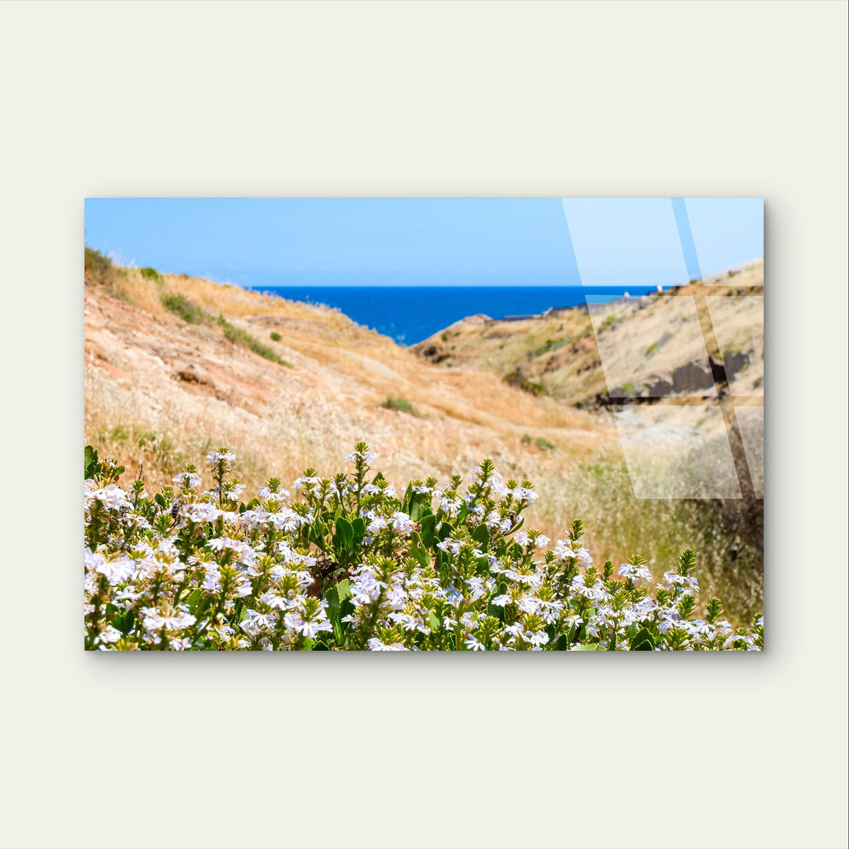 Hallett Cove Conservation Park Flowers Glass Printing Wall Art Australian Made Quality