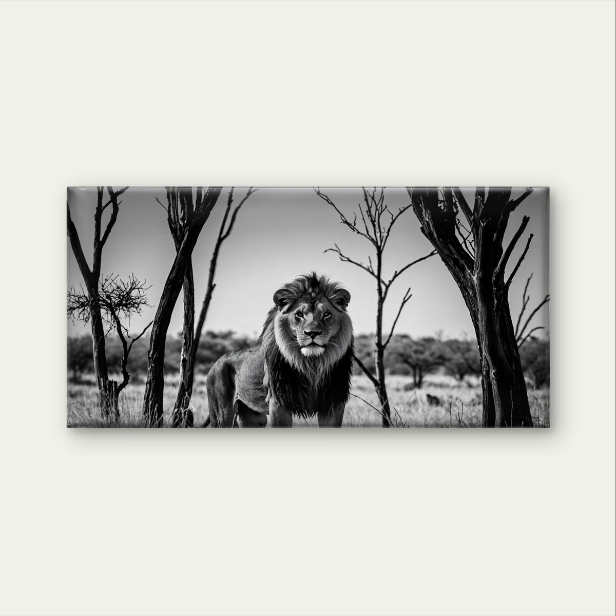 Abstract Black White Lion Safari Wall Art Canvas Office Home Framed 120x60cm