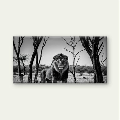 Abstract Black White Lion Safari Wall Art Canvas Office Home Framed 120x60cm