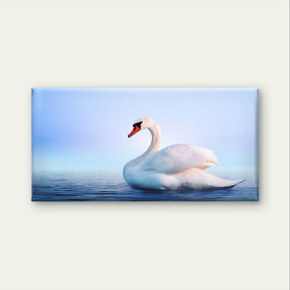 White Swan Lake Water Nature Bird Wall Art Canvas Office Home Framed 120x60cm