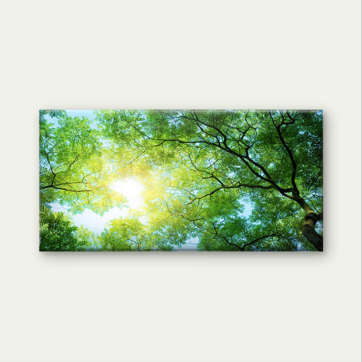 Green Forest Canopy Sunbeam Tree Wall Art Canvas Office Home Framed 120x60cm