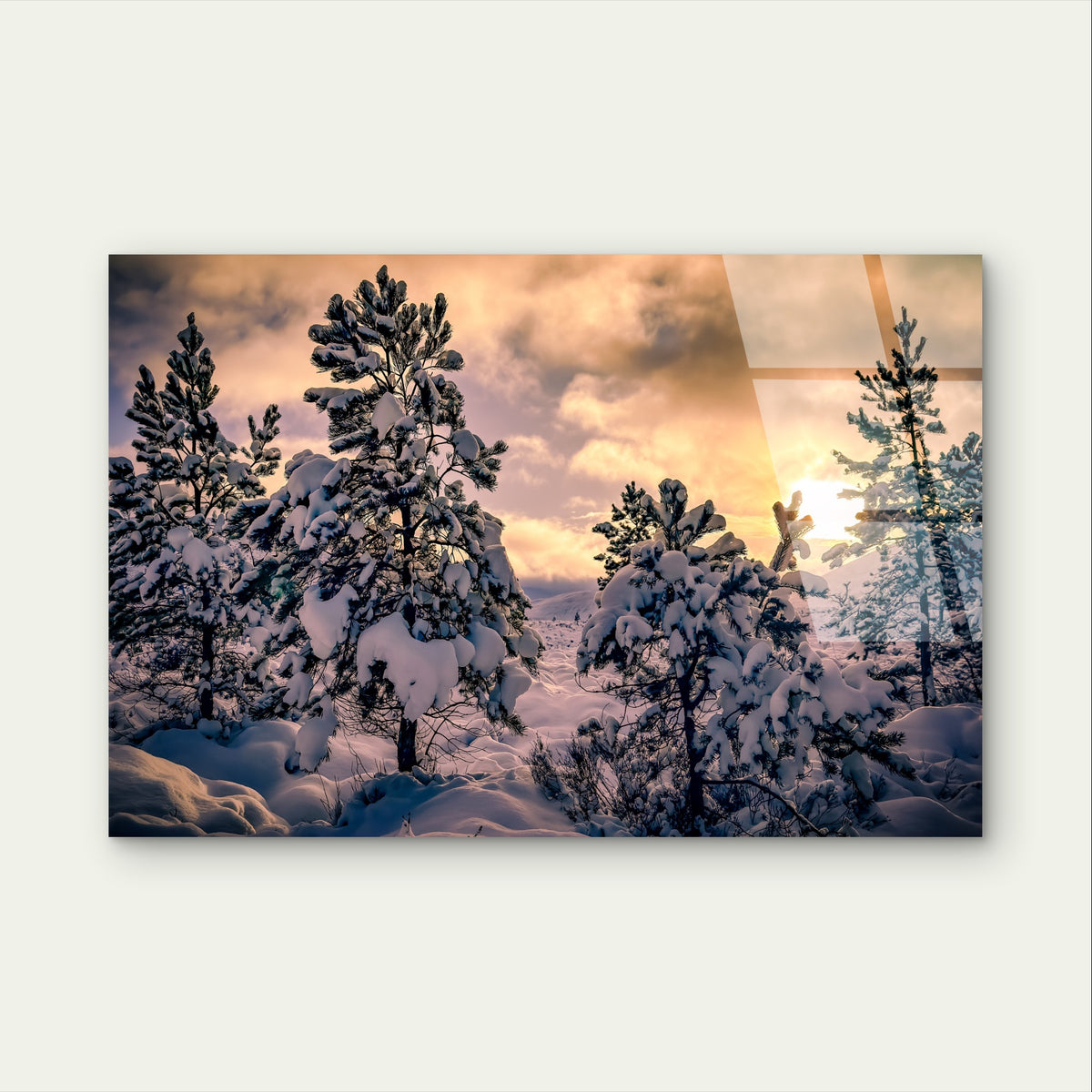 Winter Forest Snow Tree Landscape Art Acrylic Glass Printing Wall Art Australian Made Quality
