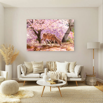 Spring Cherry Blossoms Japan Nara Deer Acrylic Glass Printing Wall Art Australian Made Quality