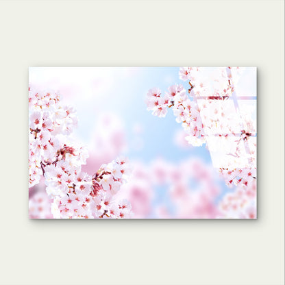 Japanese Sakura Pink Cherry Blossoms Acrylic Glass Printing Wall Art Australian Made Quality