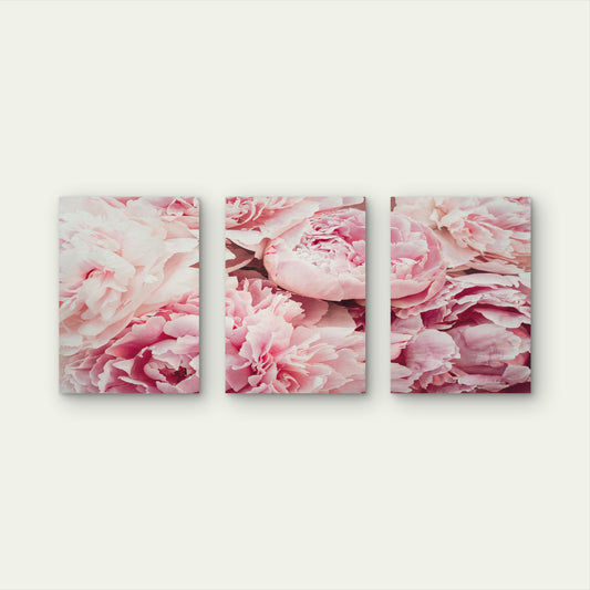 3pcs Blush Pink Peony Flower Floral Bloom Wall Art Set Canvas Framed 60x90cm - High Quality Print 100% Australian Made Wall Canvas Ready to Hang