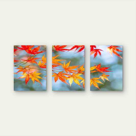 3pcs Orange Red Yellow Maple Tree Leaves Foliage Wall Art Set Canvas Framed 60x90cm - High Quality Print 100% Australian Made Wall Canvas Ready to Hang