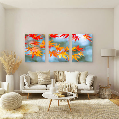 3pcs Orange Red Yellow Maple Tree Leaves Foliage Wall Art Set Canvas Framed 50x70cm - High Quality Print 100% Australian Made Wall Canvas Ready to Hang