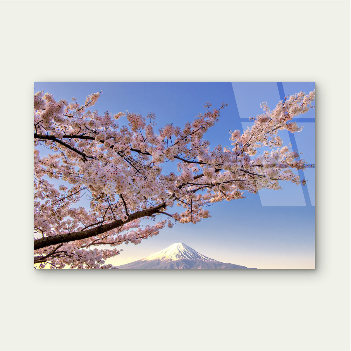 Japan Fuji Cherry Blossom Sakura Spring Acrylic Glass Printing Wall Art Australian Made Quality