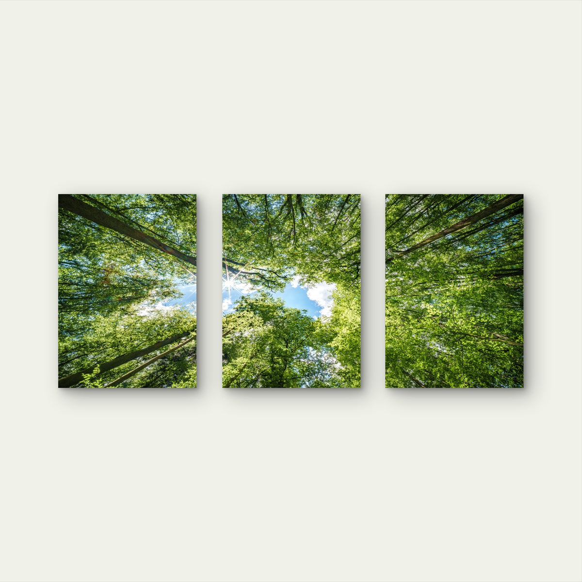 3pcs Vibrant Green Forest Canopy Tree Nature Wall Art Set Canvas Framed 40x60cm - High Quality Print 100% Australian Made Wall Canvas Ready to Hang