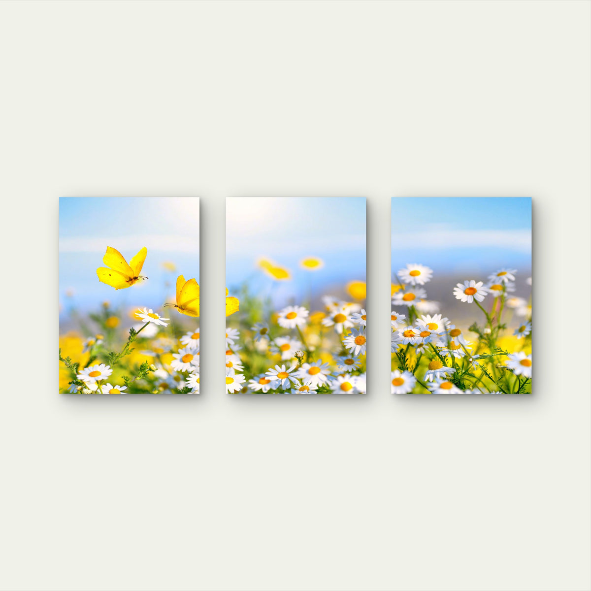 3pcs Daisy Meadow Yellow Butterfly Floral Nature Wall Art Set Canvas Framed 50x70cm - High Quality Print 100% Australian Made Wall Canvas Ready to Hang