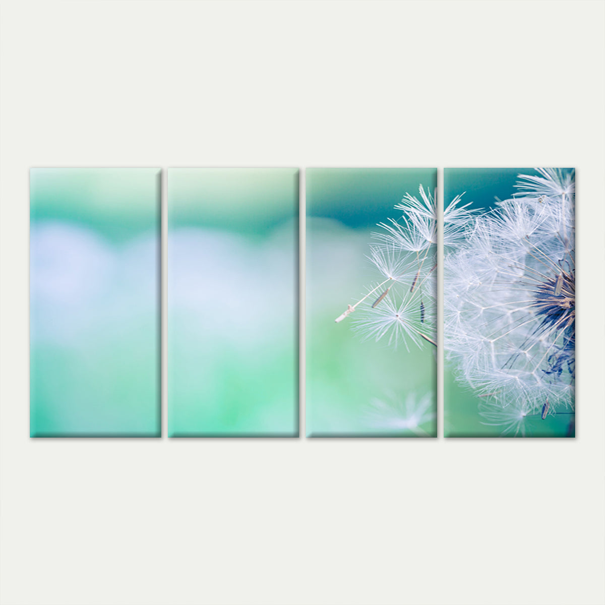 4pcs White Dandelion Seed Turquoise Teal Wall Art Canvas Framed 45x80cm - High Quality Print 100% Australian Made Wall Canvas Ready to Hang