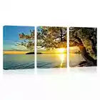 3pcs Peaceful Tree Sunset Lake Sky View  Canvas Unframed - High Quality Print 100% Australian Made Wall Canvas