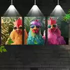 3pcs Modern Fashionable Roosters with Sunglasses Canvas Unframed - High Quality Print 100% Australian Made Wall Canvas