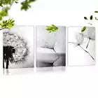 3pcs Interesting Simple Dandelion Black & White Canvas Unframed - High Quality Print 100% Australian Made Wall Canvas