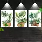 3pcs Modern Nordic Style Indoor plants Wall Art Set Canvas Framed 60x90cm - High Quality Print 100% Australian Made Wall Canvas Ready to Hang