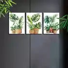 3pcs Modern Nordic Style Indoor plants Wall Art Set Canvas Framed 60x90cm - High Quality Print 100% Australian Made Wall Canvas Ready to Hang