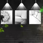 3pcs Interesting Simple Dandelion Black & White Canvas Unframed - High Quality Print 100% Australian Made Wall Canvas