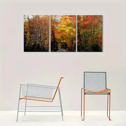 3pcs Autumn Forest Pathway Nature Wall Art Canvas Unframed - High Quality Print 100% Australian Made Wall Canvas - Bella Home Decor