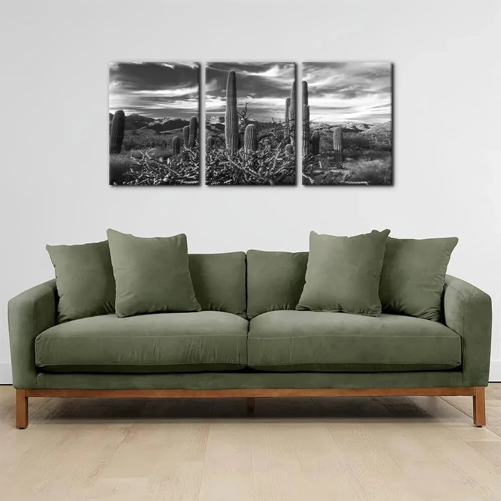 3pcs Black and White National Park Desert Cactus Metal Print Ready to Hang Art