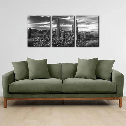3pcs Black and White National Park Desert Cactus Metal Print Ready to Hang Art
