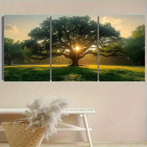 3pcs Oak Tree at Sunrise Photography Wall Art Set Canvas Unframed - High Quality Print 100% Australian Made Wall Canvas