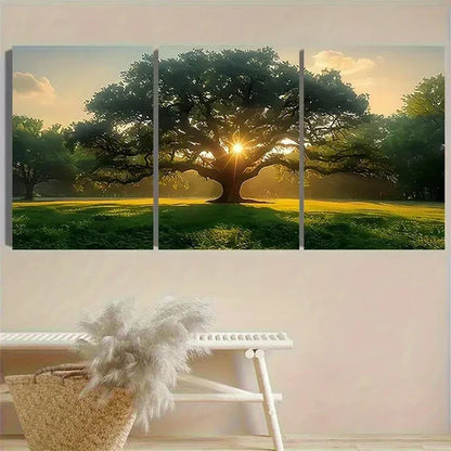 3pcs Oak Tree at Sunrise Photography Wall Art Set Canvas Unframed - High Quality Print 100% Australian Made Wall Canvas