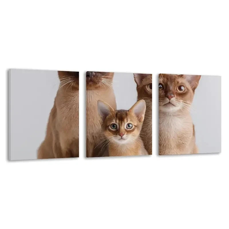 3pcs Three Brown Cats of Different Sizes  Wall Art Set Canvas Framed 40x60cm - High Quality Print 100% Australian Made Wall Canvas Ready to Hang - Bella Home Decor