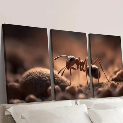 3pcs Macro Photography ANT Wall Art Canvas Unframed – High Quality Print 100% Australian Made Wall Canvas
