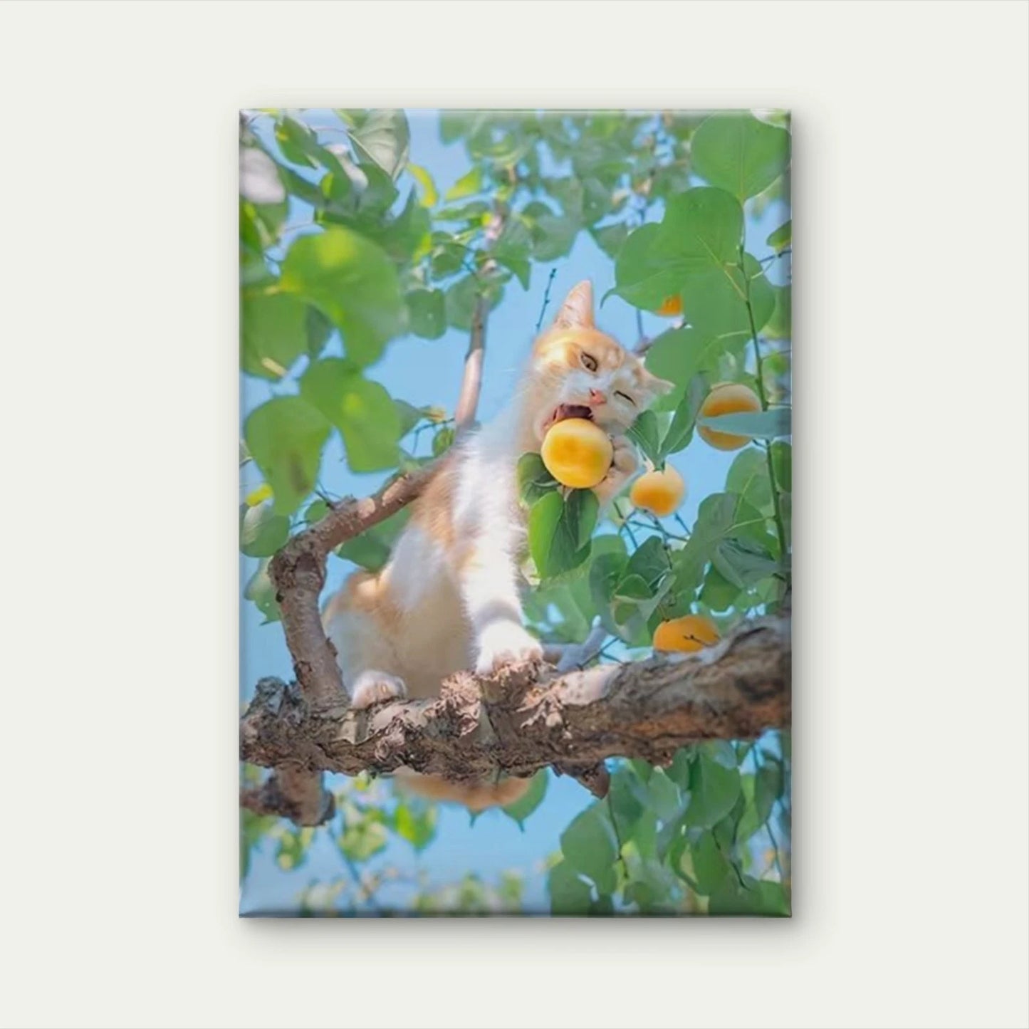 Curious Cat in Apricot Tree 60x90cm Metal Print Ready to Hang