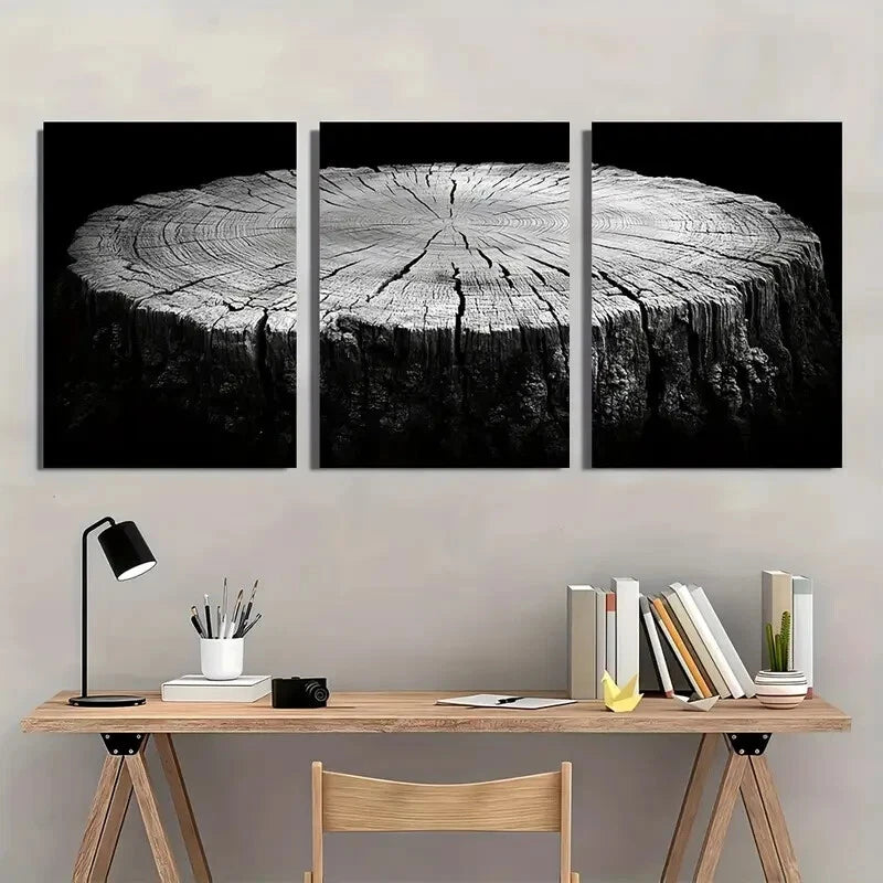 3pcs Black and White Art Wood Tree Ring Metal Print Ready to Hang Art - Bella Home Decor